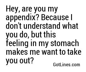 Hey, Are You My Appendix? Because I Don'T Understand What You Do, But This  Feeling In My Stomach Make… | Funny Text Memes, Pick Up Lines Funny, Pick  Up Lines Cheesy