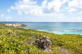 How To Get To Exuma: Day Trips From Nassau To Exuma