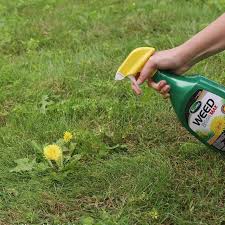 Ortho Weed B-Gon Lawn Weed Killer + Crabgrass Control | Ortho