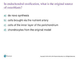 Endochondral Ossification - Wikipedia