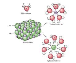 A Singly Ionized Helium Atom (He+) Has Only One Electron In Orbit About The  Nucleus. What Is The Radius Of The Ion When It Is In The Excited State  Defined By N=2? |