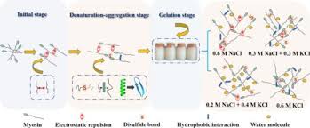 Biology Lecture 3 Diagram | Quizlet