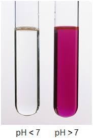 Which Of These Salts In Aqueous Solution Will Turn Phenolphthalein To Pink  (Basic)? Na2Co3 Na2So4 Na2So3 Nano3 Nacl Nabr