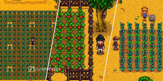 When Do Fruit Trees Bear Fruit In Stardew Valley?