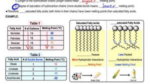 Solved Which Of The Following Fatty Acids Would You Expect | Chegg.Com