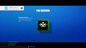 Fortnite] Finally Obtained Hero Of The Storm From Save The World! : R/ Trophies