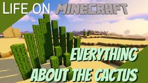 How Fast Does Cactus Grow In Minecraft? - Youtube